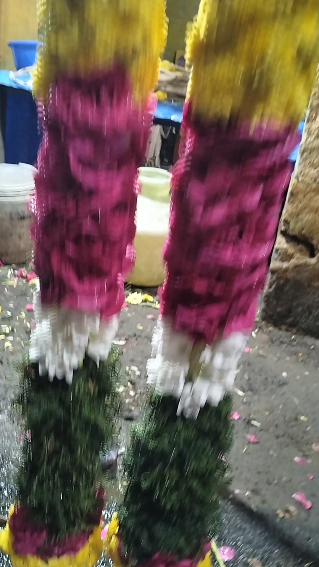 Samanthi & pannir rose malai 5 feet