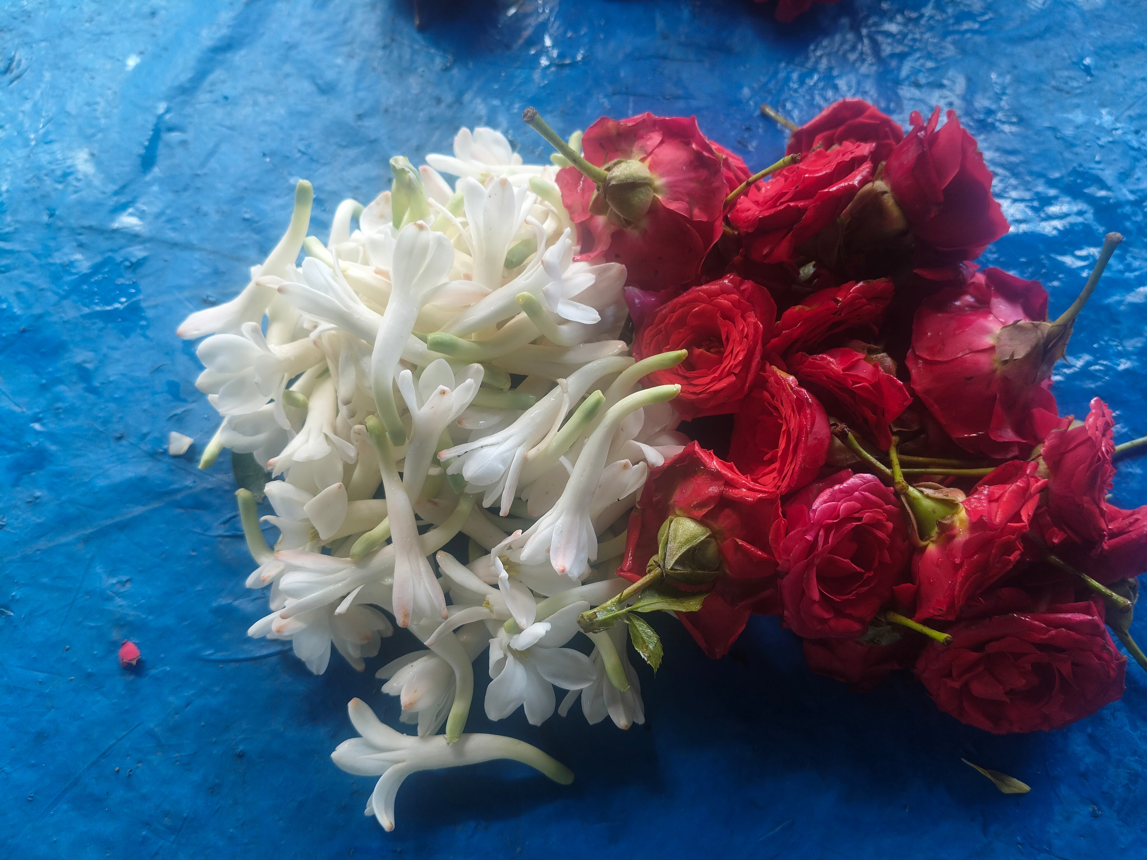 Rose & sampanki 100g ×2