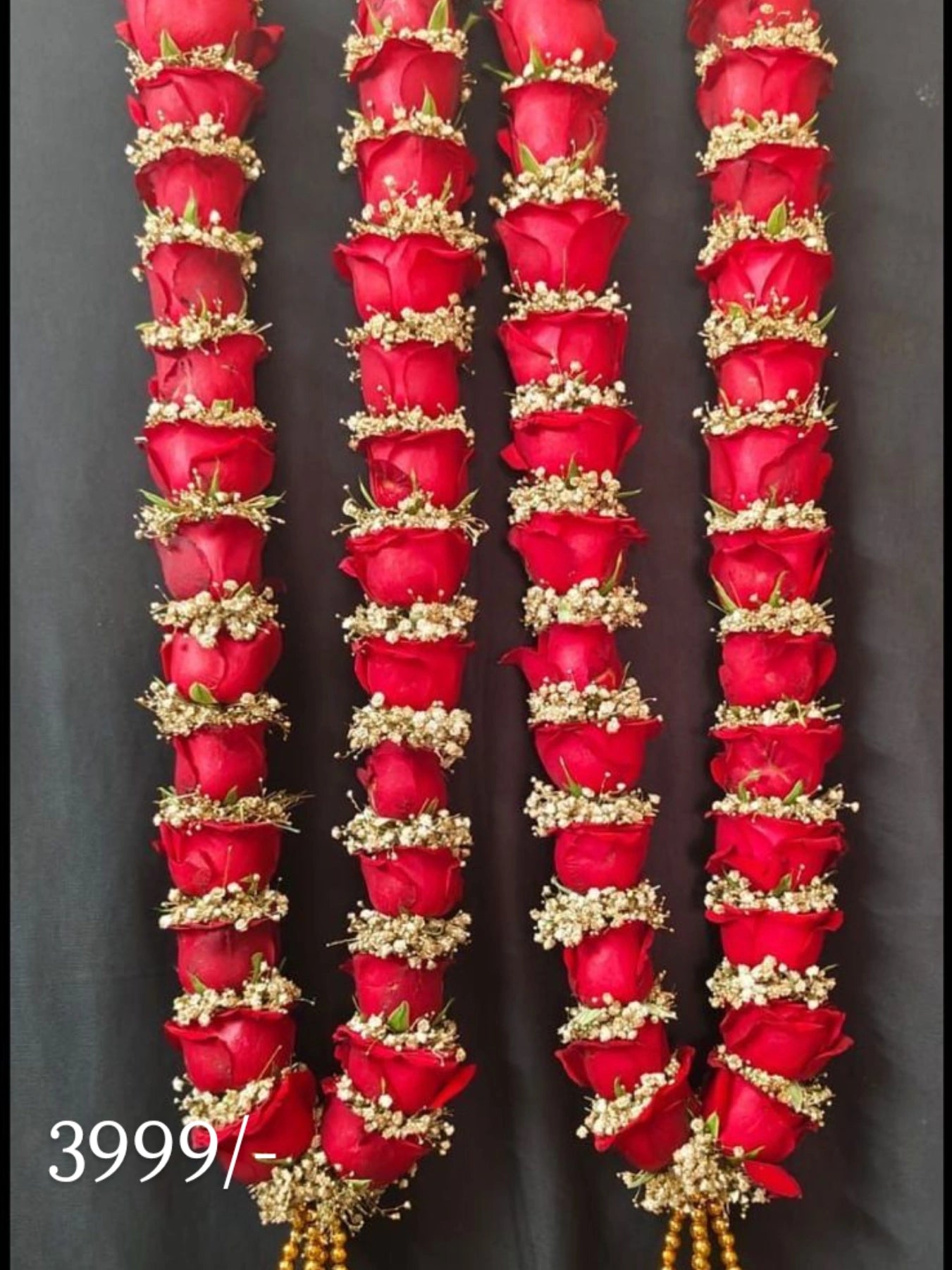 Big Red Rose & Gypsy Malai