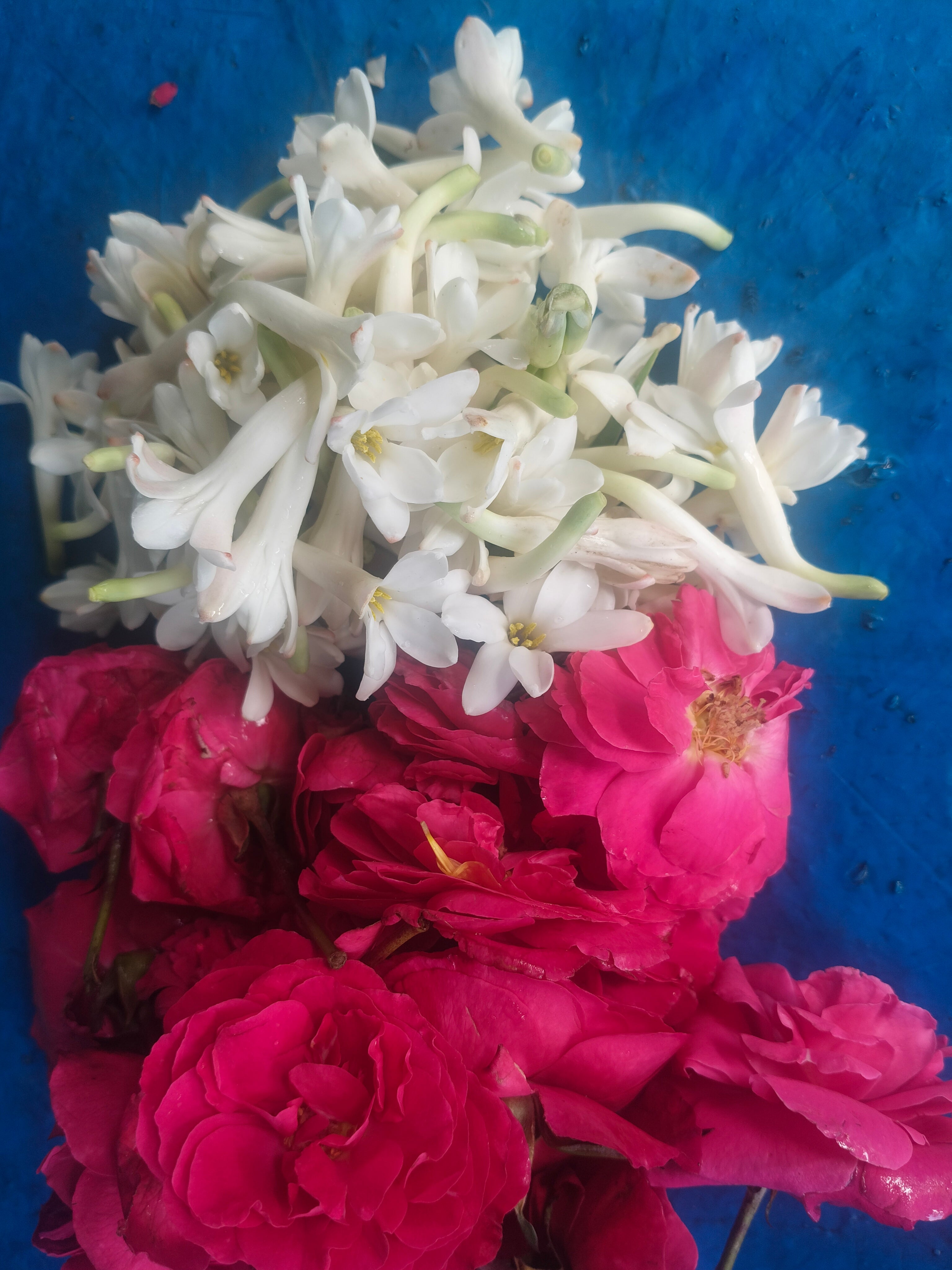 Rose & sampanki 100g ×2