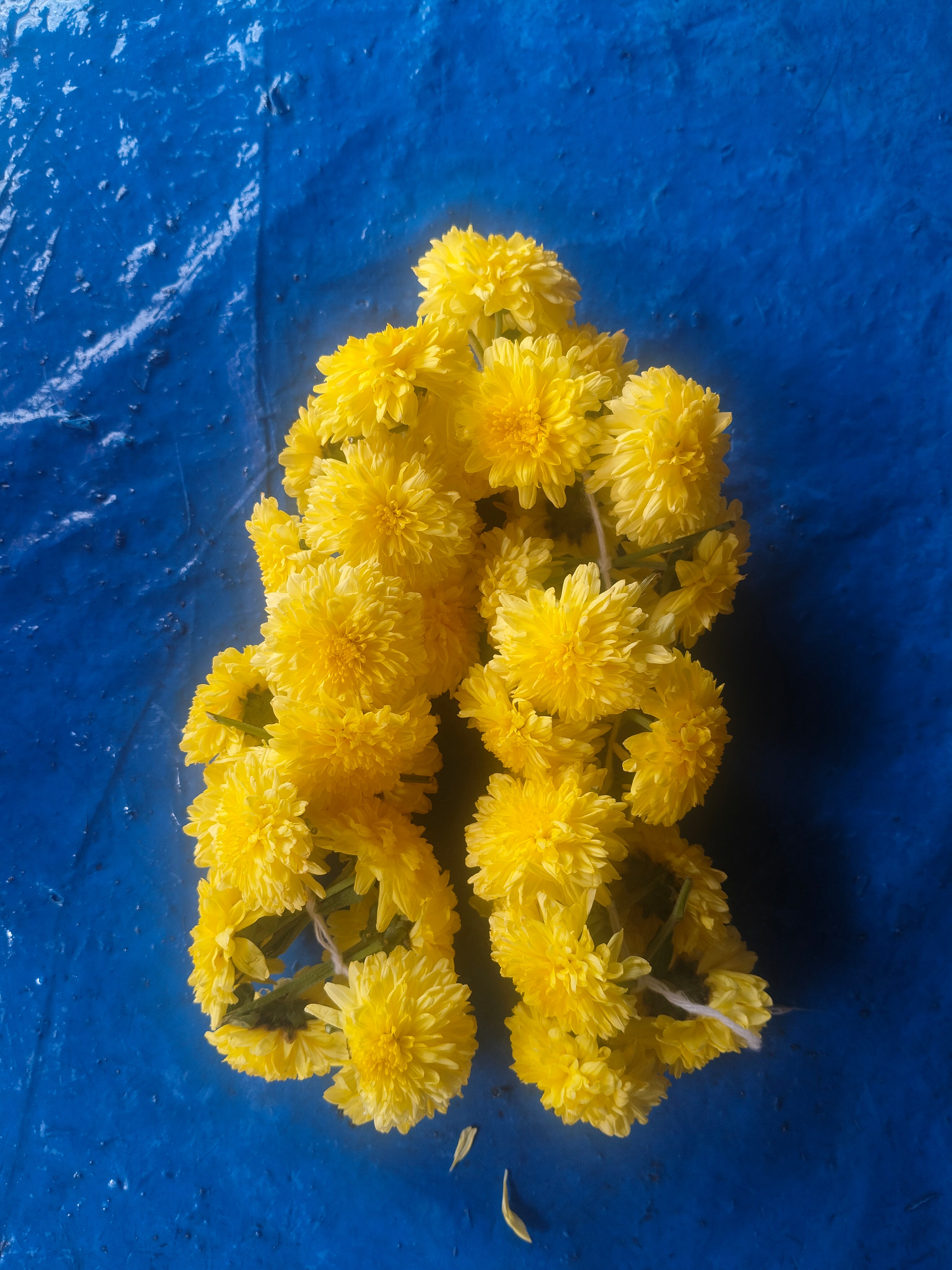 Samanthi poo kattiyathu( mulam)  one handed