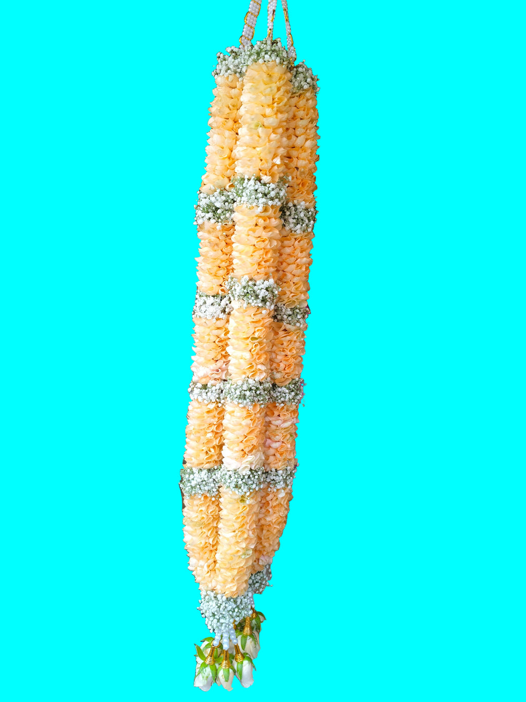 PEACH ROSE & GYPSY MALAI ( 2 piece)