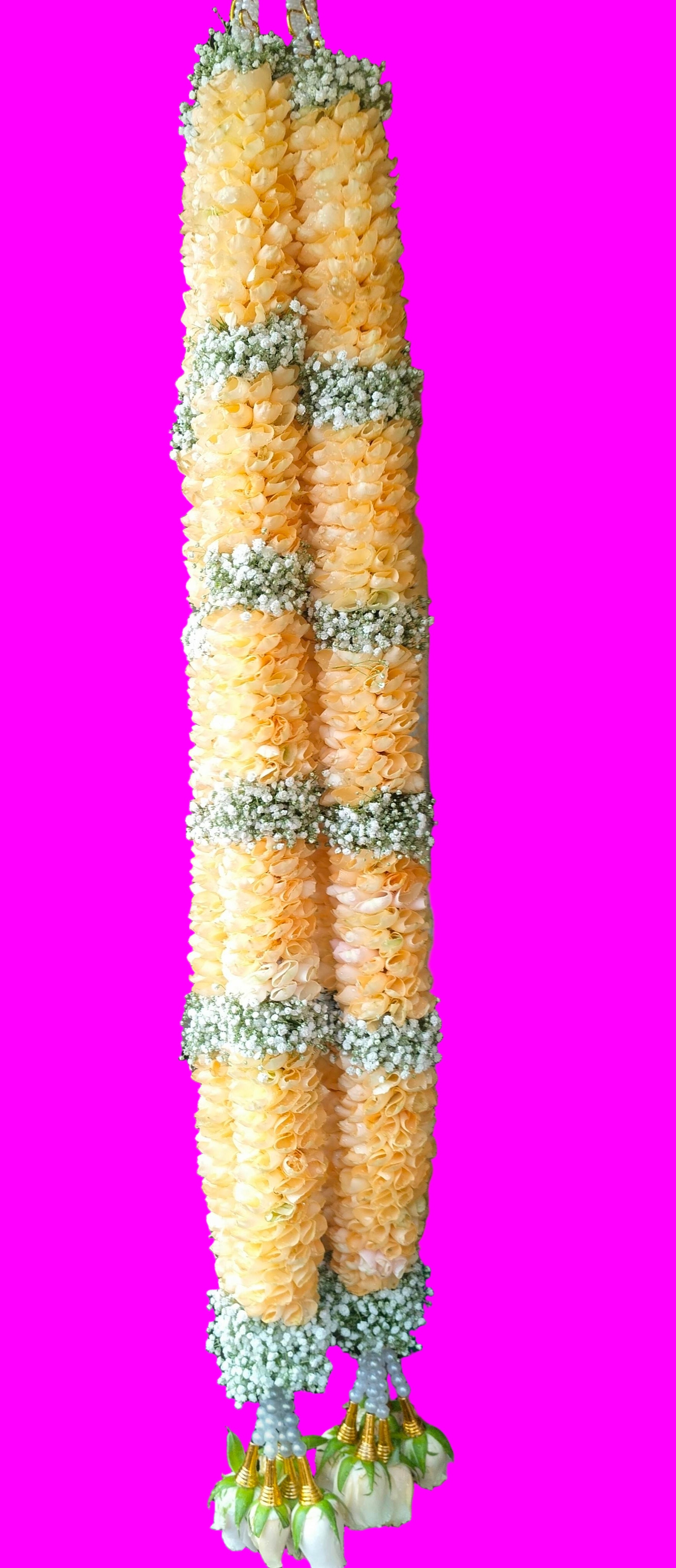 PEACH ROSE & GYPSY MALAI ( 2 piece)