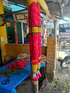 Red rose with gold colour border malai 2 piece