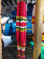 Red rose gold border with sampanki malai (2 piece)