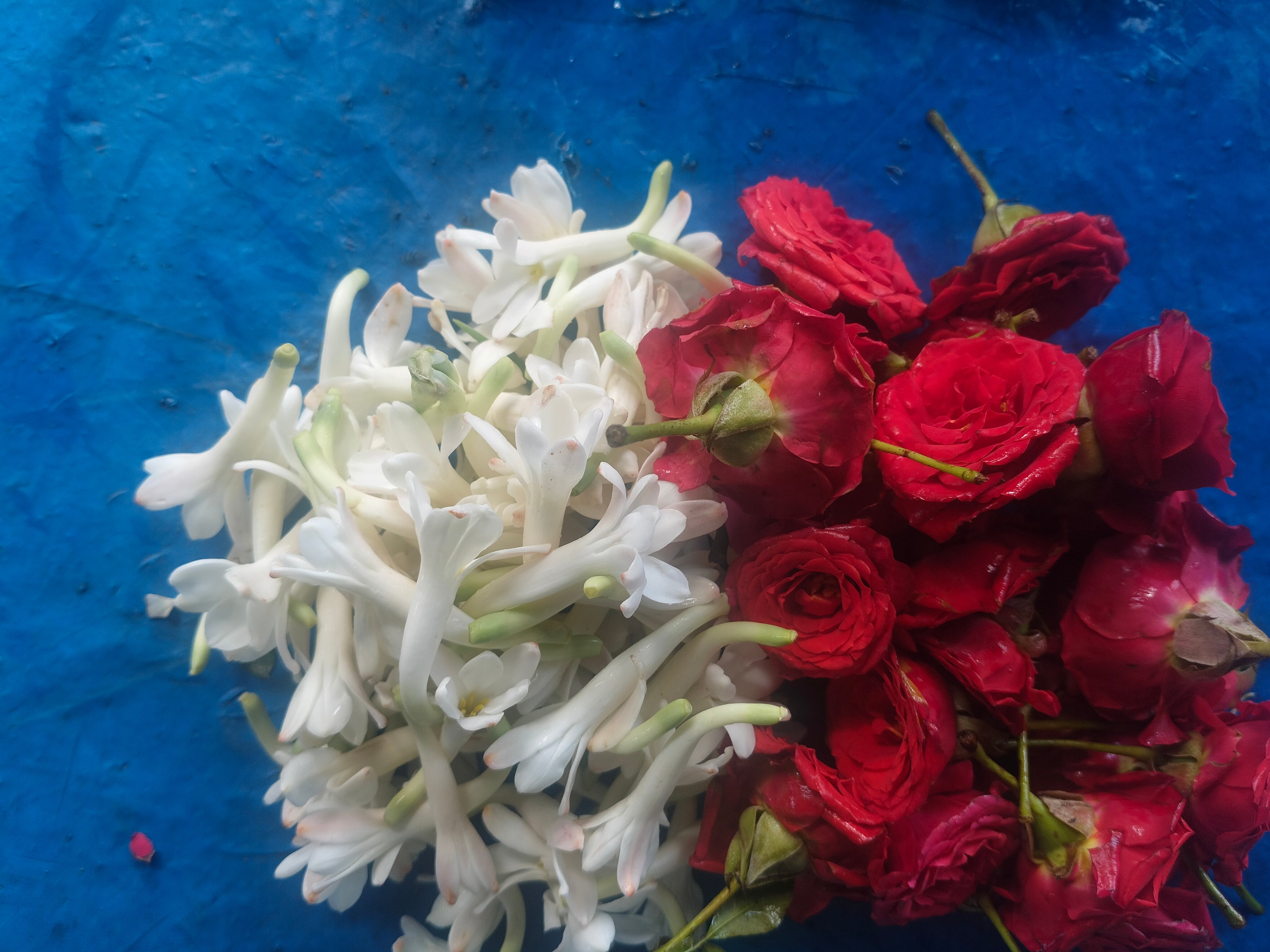 Rose & sampanki 100g ×2