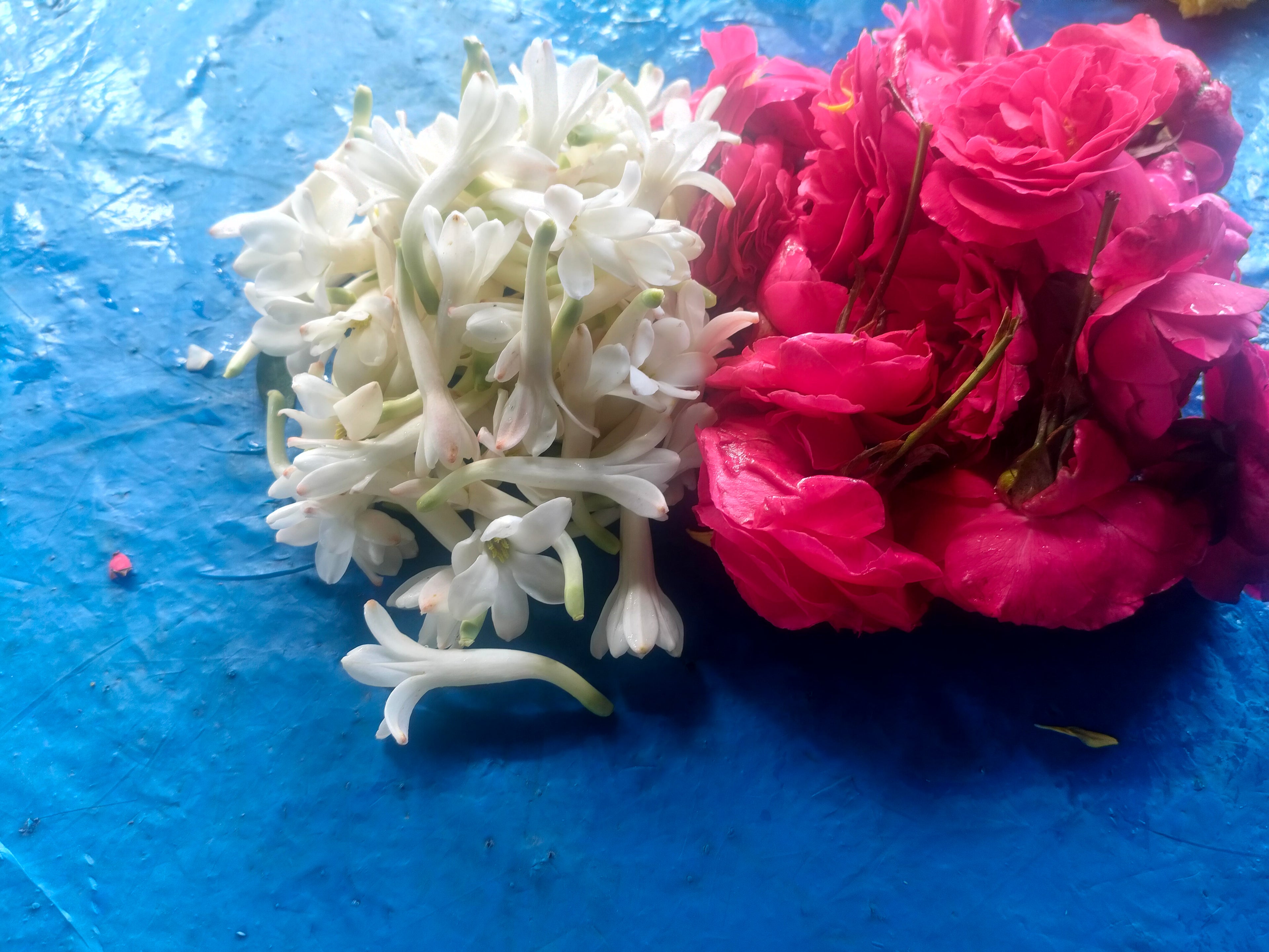 Rose & sampanki 100g ×2