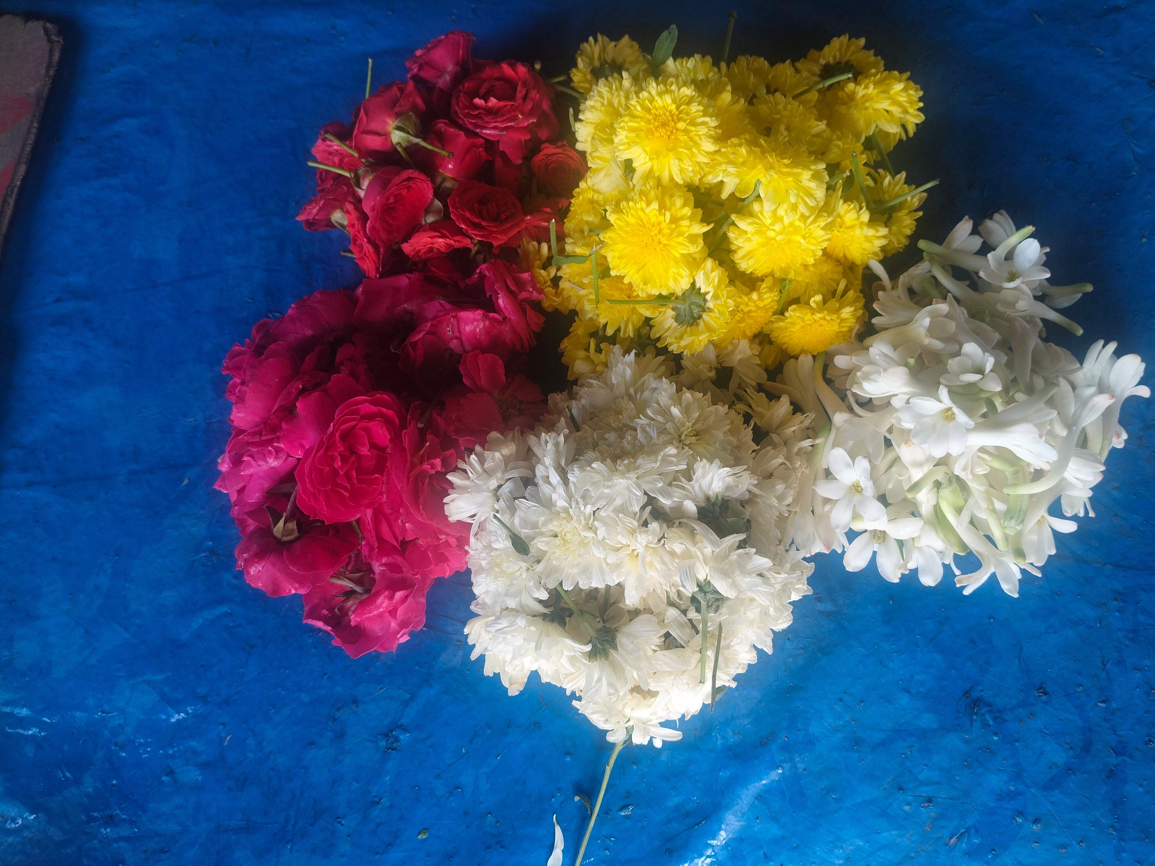 5 colours uthiri poo 100g×5