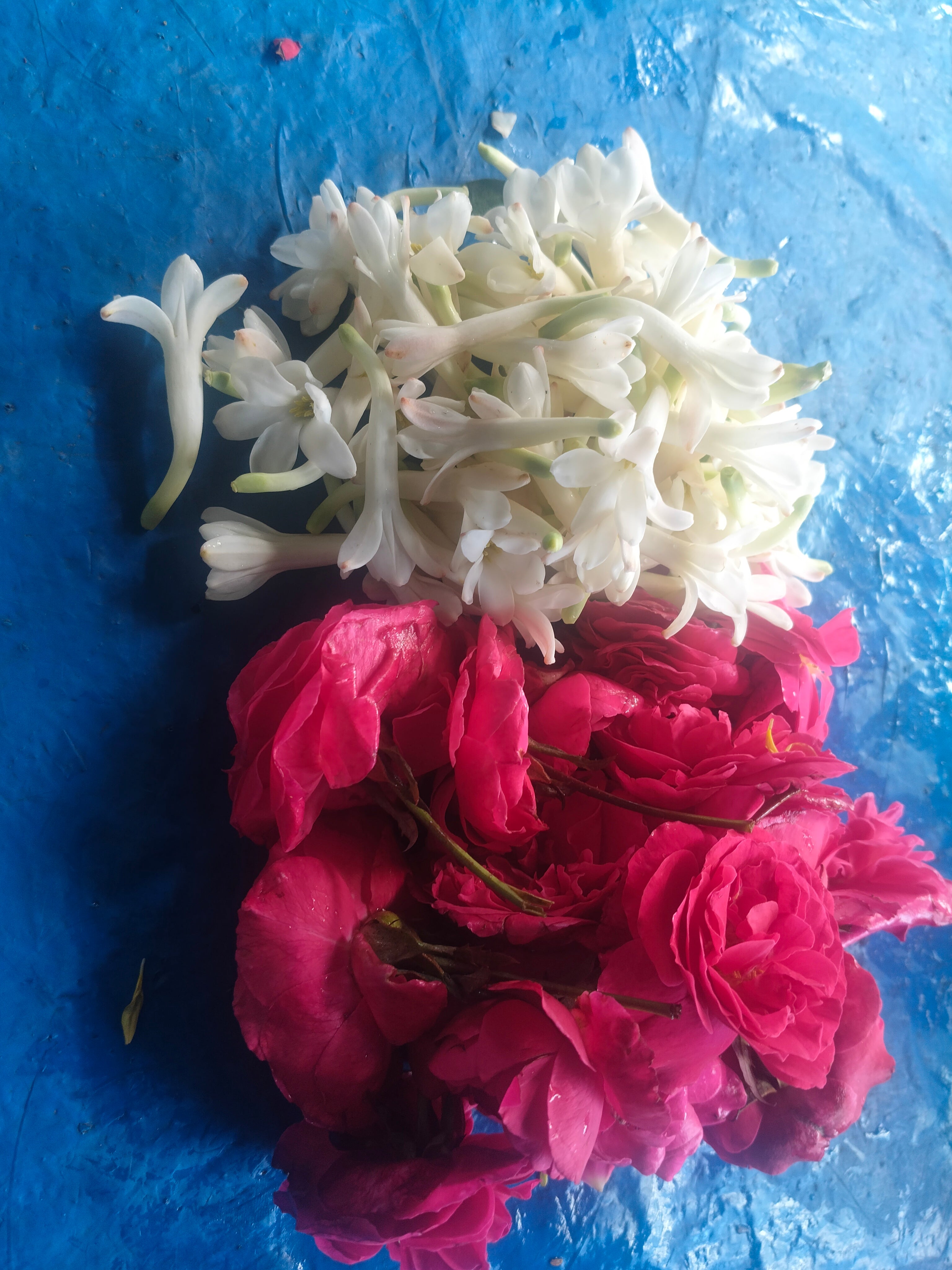 Rose & sampanki 100g ×2